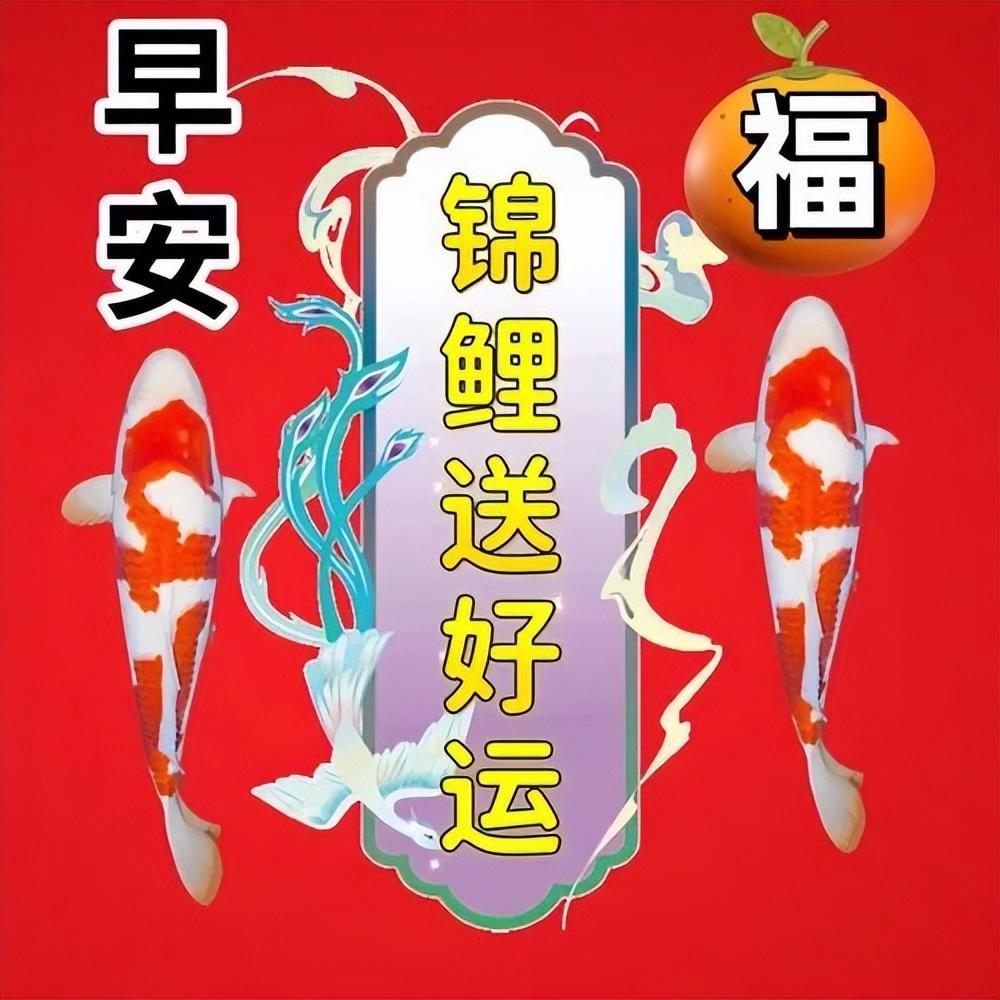 暖心温馨的早上好问候短句，让你的幸福久久，愿你快乐天长地久(图13)