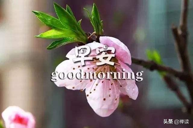 早安：走出去，世界就在眼前；走不出去，眼前就是世界！​​​(图1)