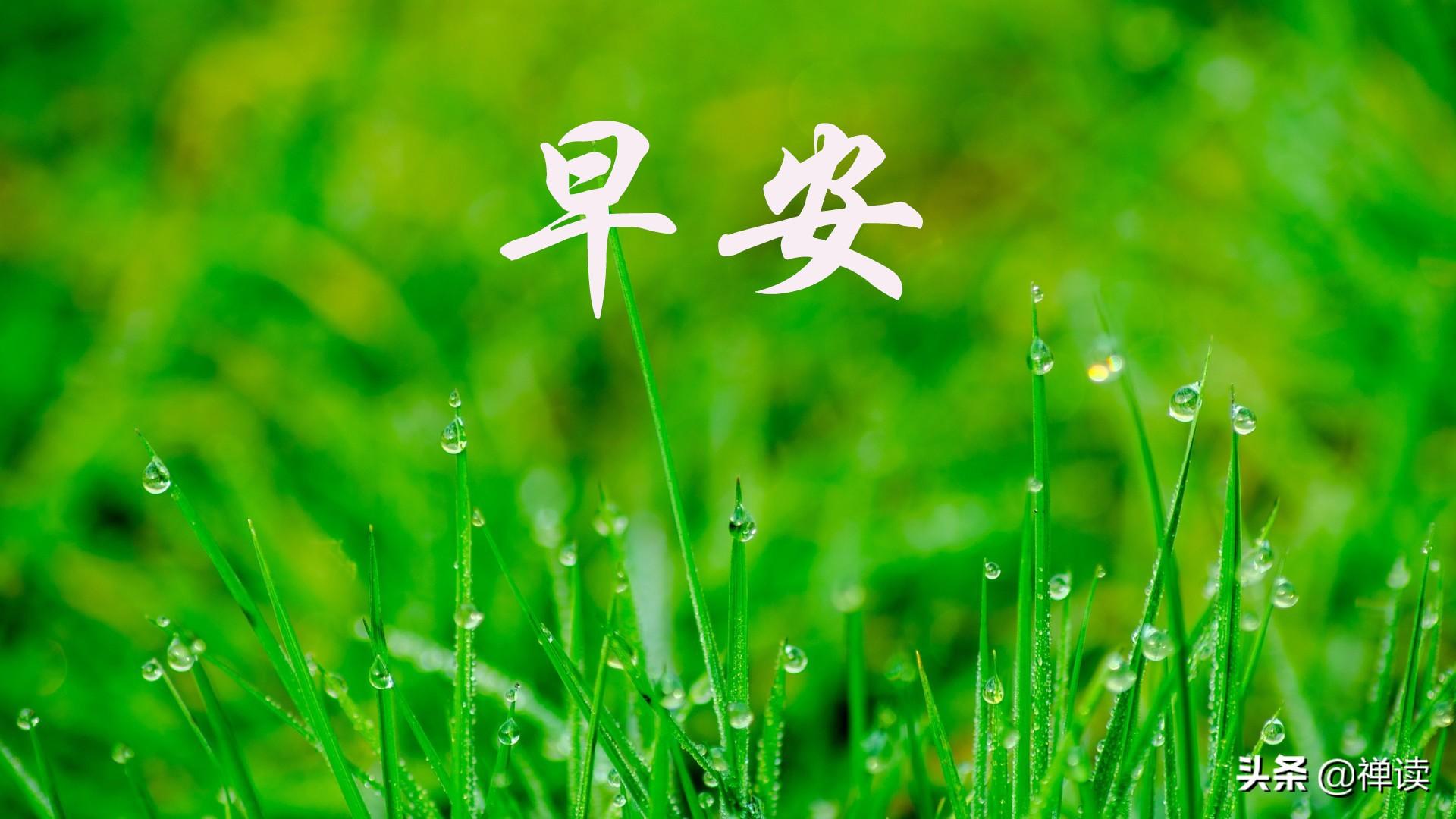 早安：走出去，世界就在眼前；走不出去，眼前就是世界！​​​(图2)