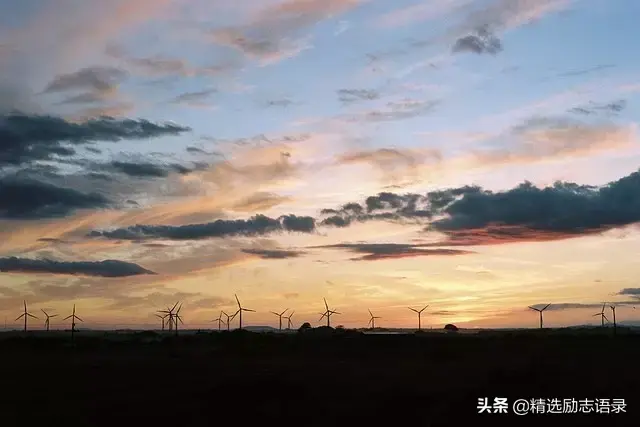 心累了，出去走一走(图6)