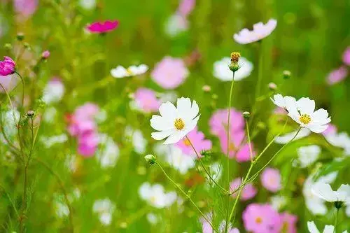 适合走出困境的说说，句句励志，心结顿开(图3)