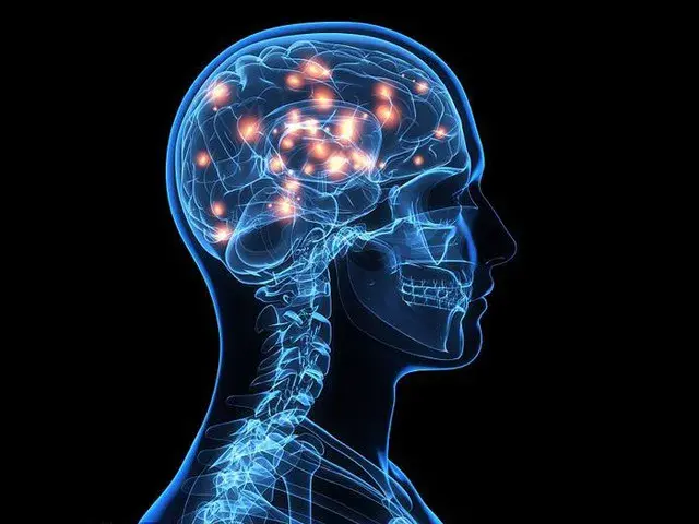 20句关于智慧的句子：句句是真理(图3)