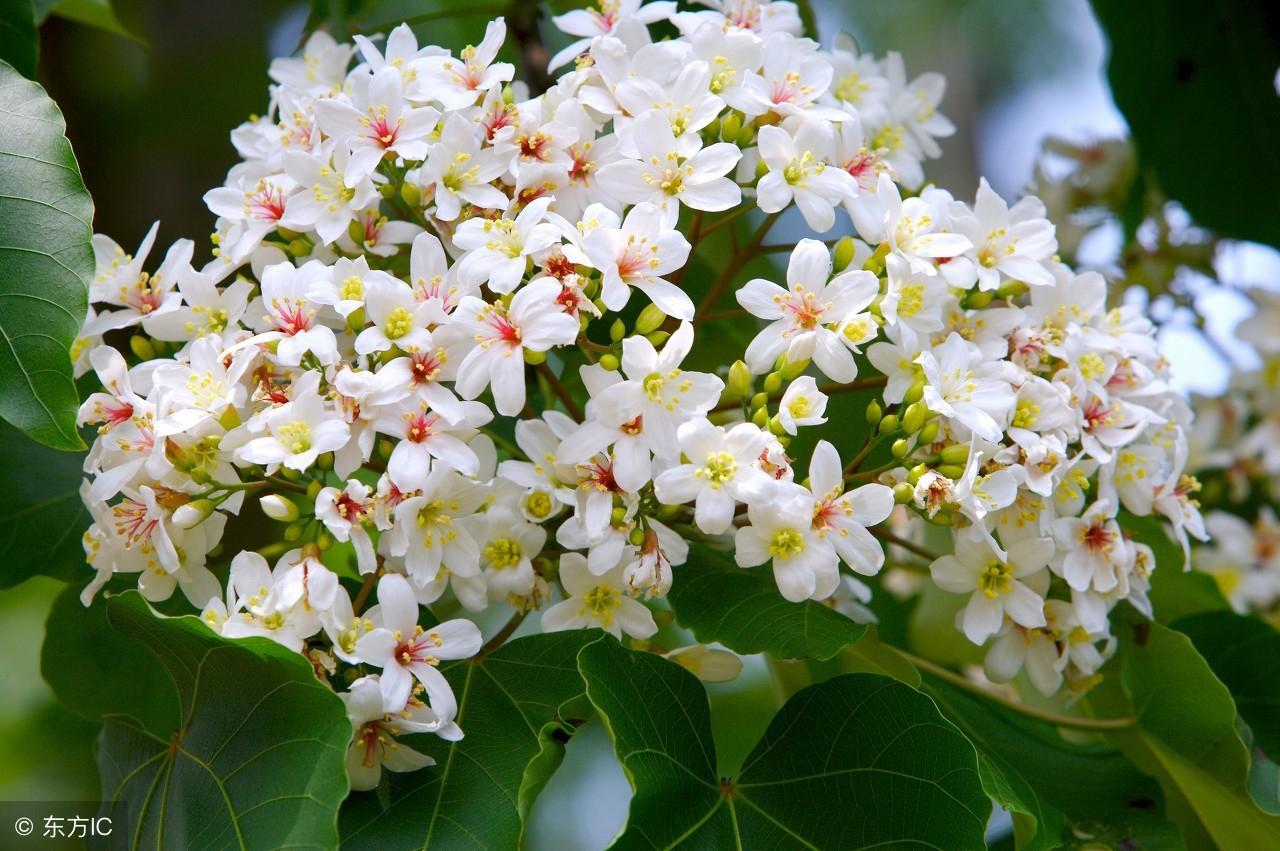 走着走着,已然找不到回去的路了(经典美文)(图4) 走着走着,已然找不到回去的路了(经典美文)(图4)