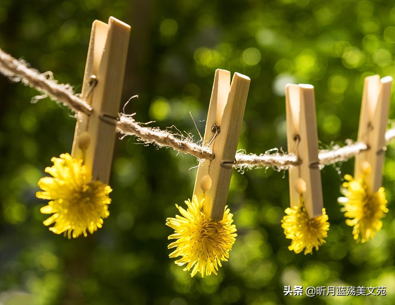 心上有个你，无言也美丽(图3)