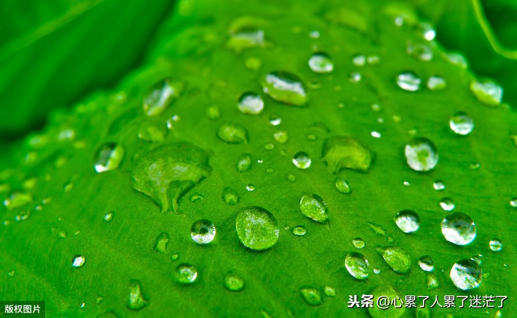 人生感悟经典句子，每个人的心中，都藏着没来由的空虚(图2)