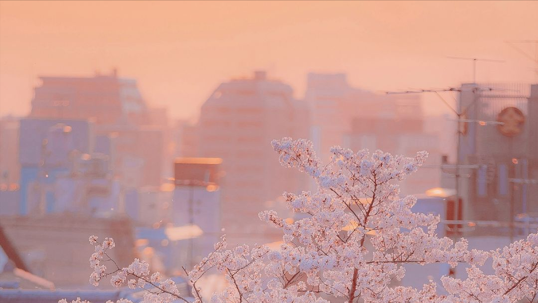 张国荣说：真正的告白，要从收到一束花开始(图3)