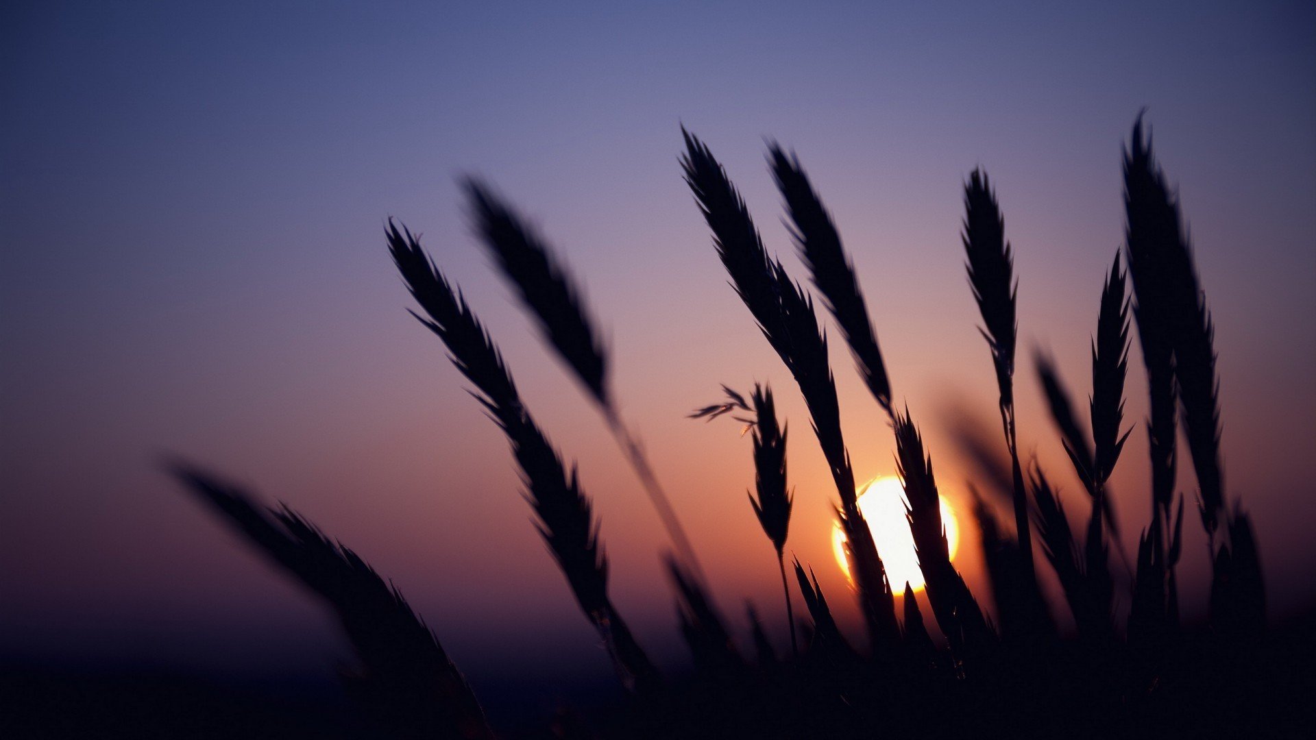 感谢挫折，让我们知进退；感谢经历，让我们知淡然(图1)