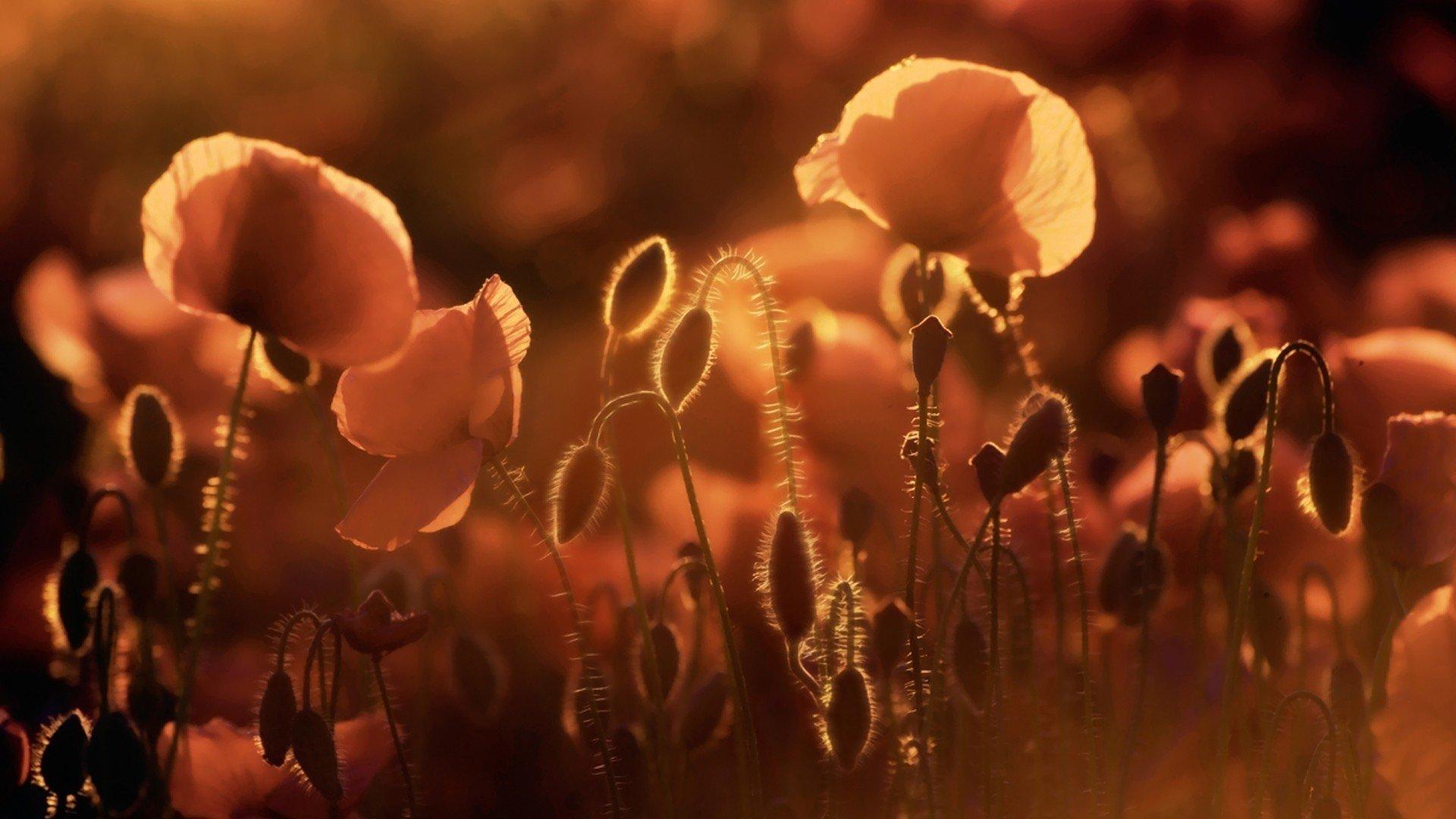 感谢挫折，让我们知进退；感谢经历，让我们知淡然(图3)