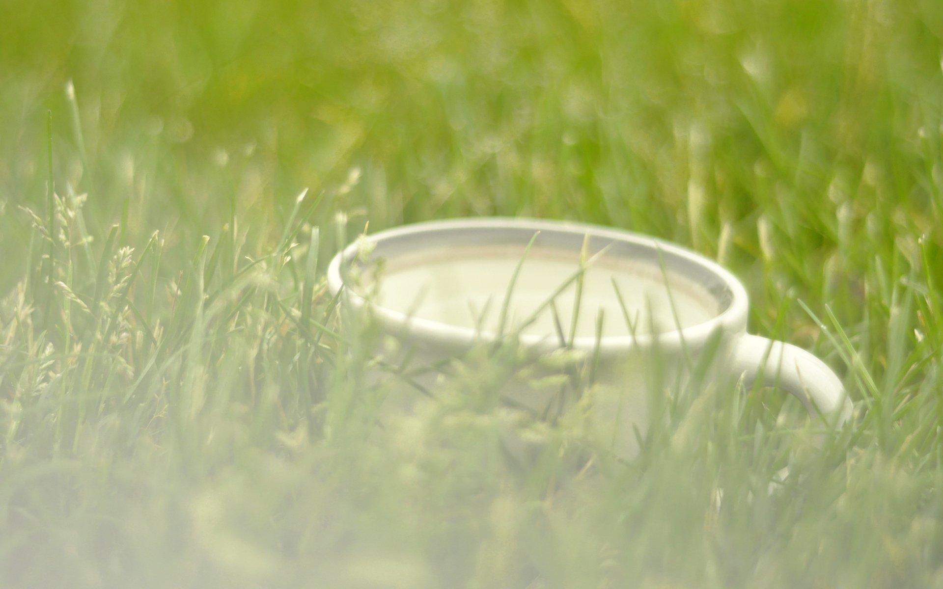 感谢挫折，让我们知进退；感谢经历，让我们知淡然(图4)