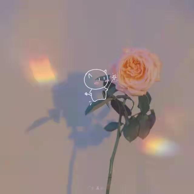 给爸爸妈妈的暖心文案(图9)