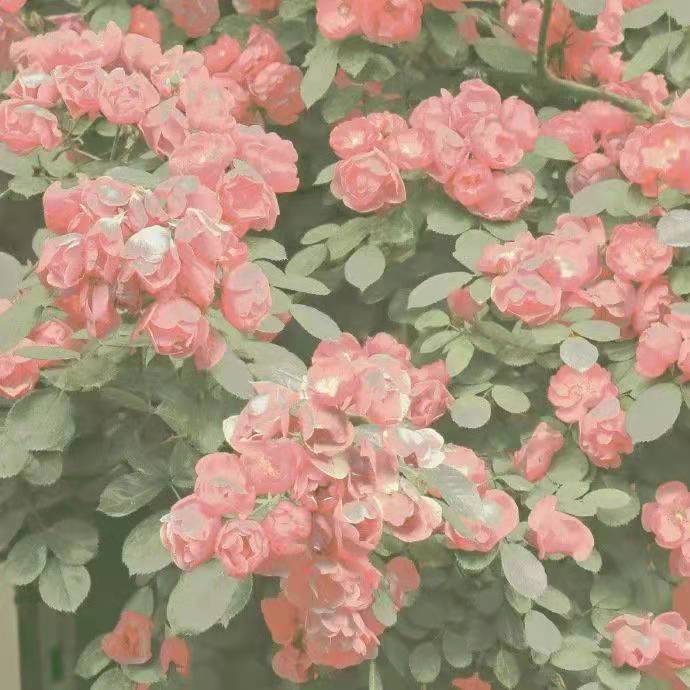 给爸爸妈妈的暖心文案(图10)