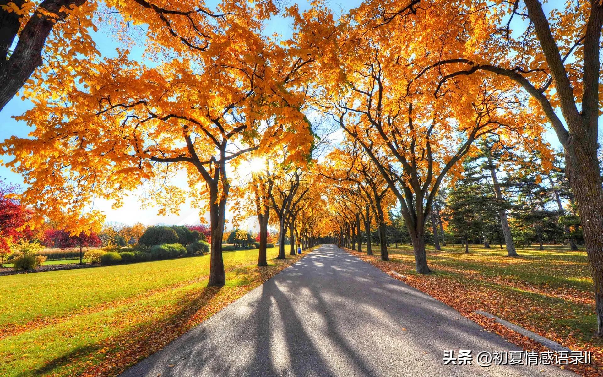 2023很励志的经典语录，句句激励人心，越读越给力！(图2)