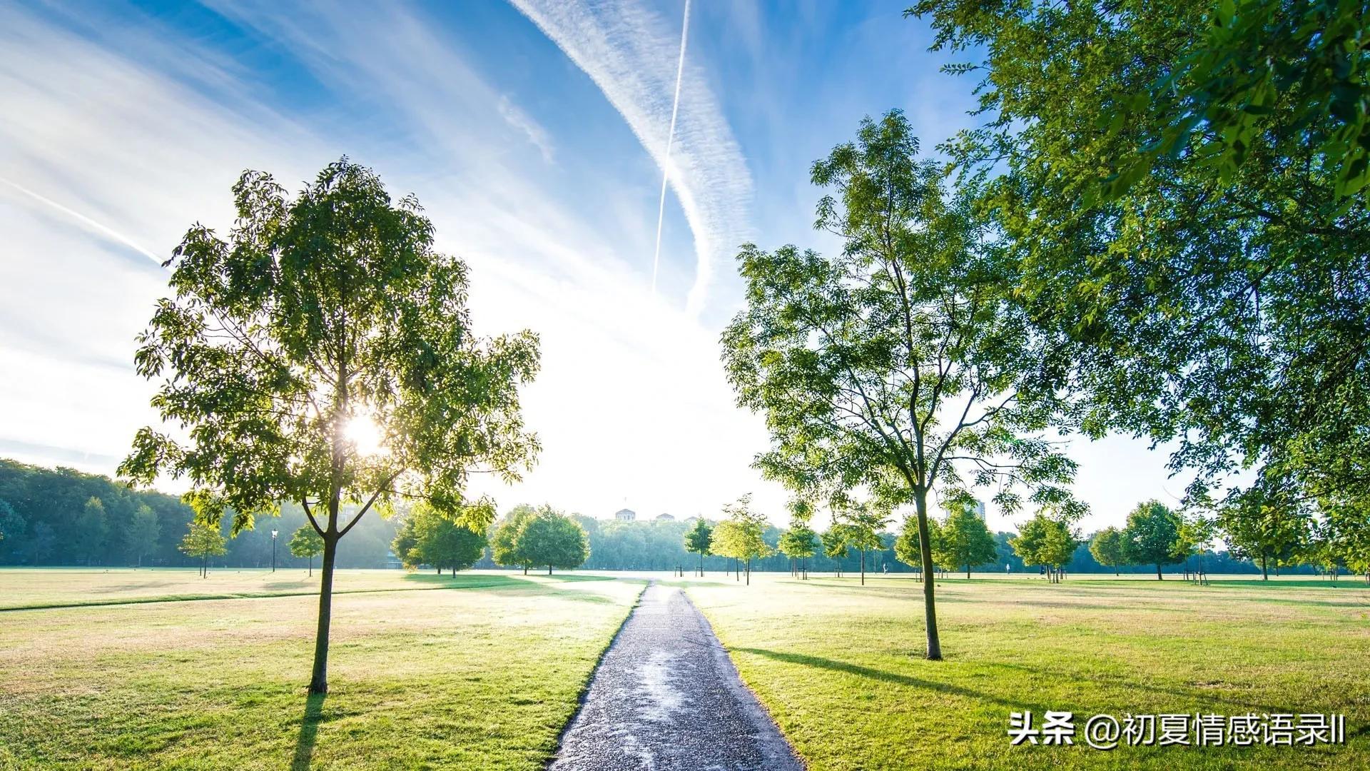 2023很励志的经典语录，句句激励人心，越读越给力！(图4)