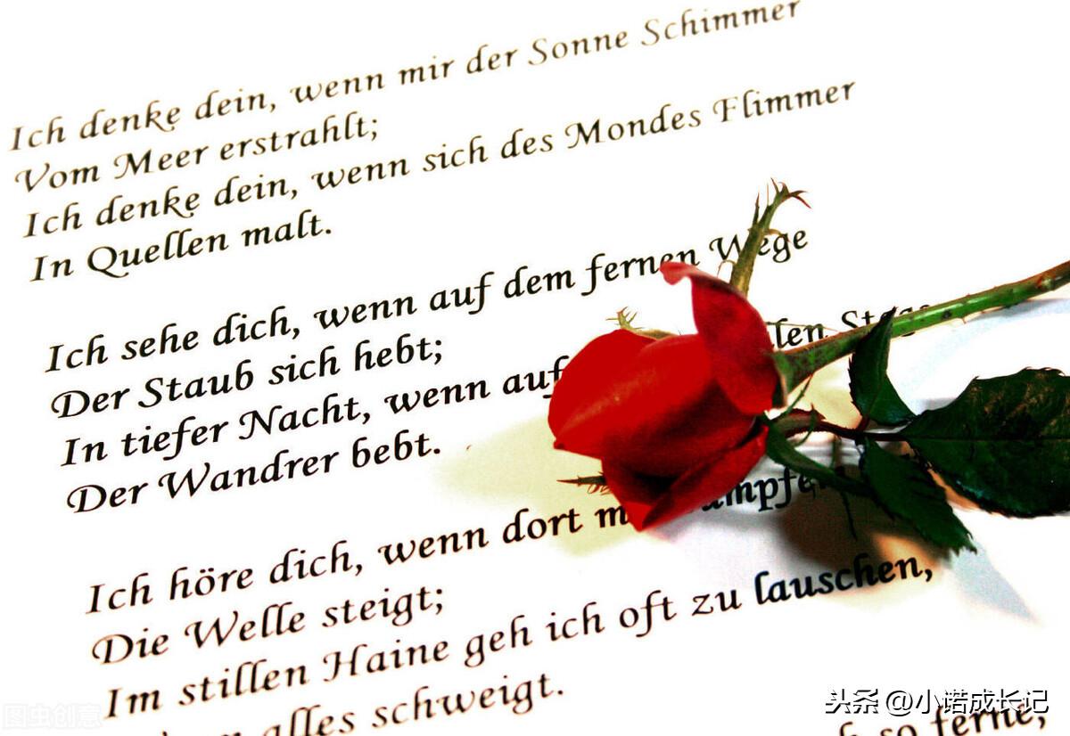 十四首校园三行情诗，总有一首让你感同身受(图8)