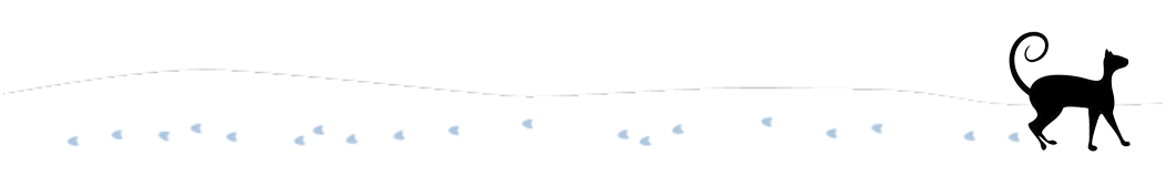 生日快乐：写给24岁的自己(图1)