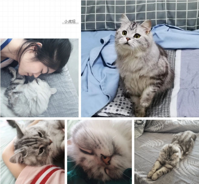 生日快乐：写给24岁的自己(图5)