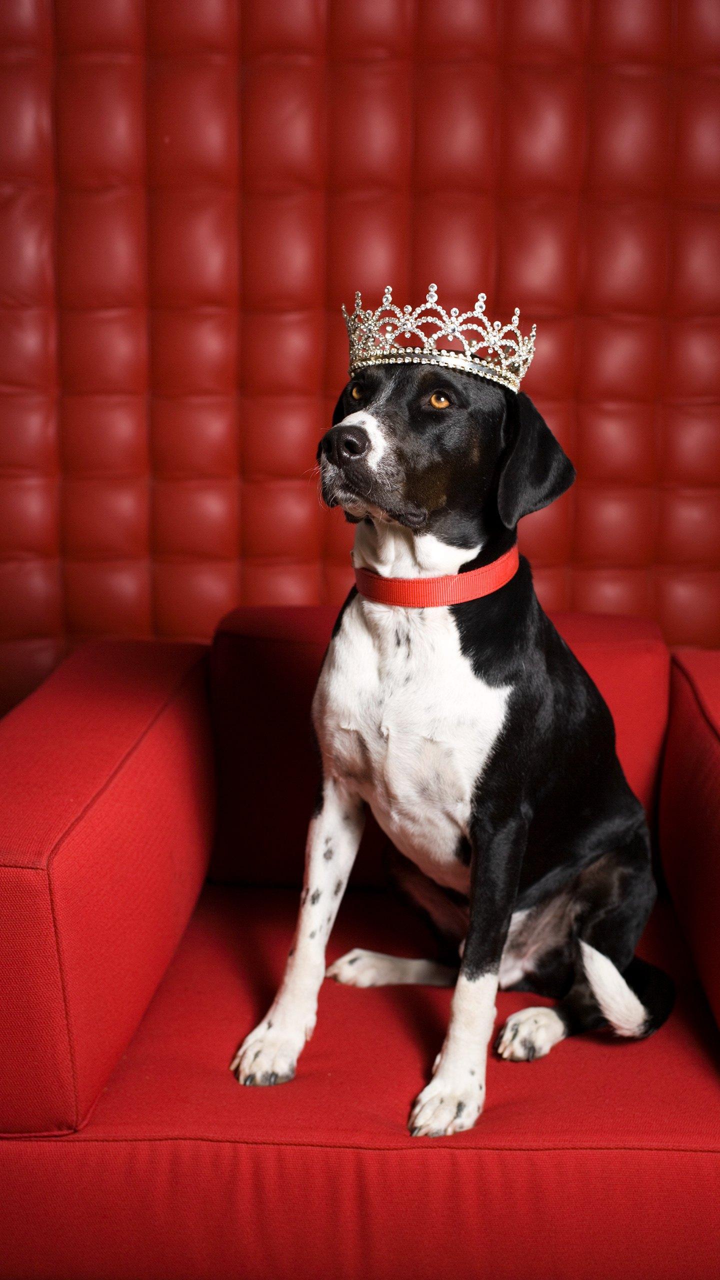 那些回不去的『从前』：一如从前，那样美丽(图2)