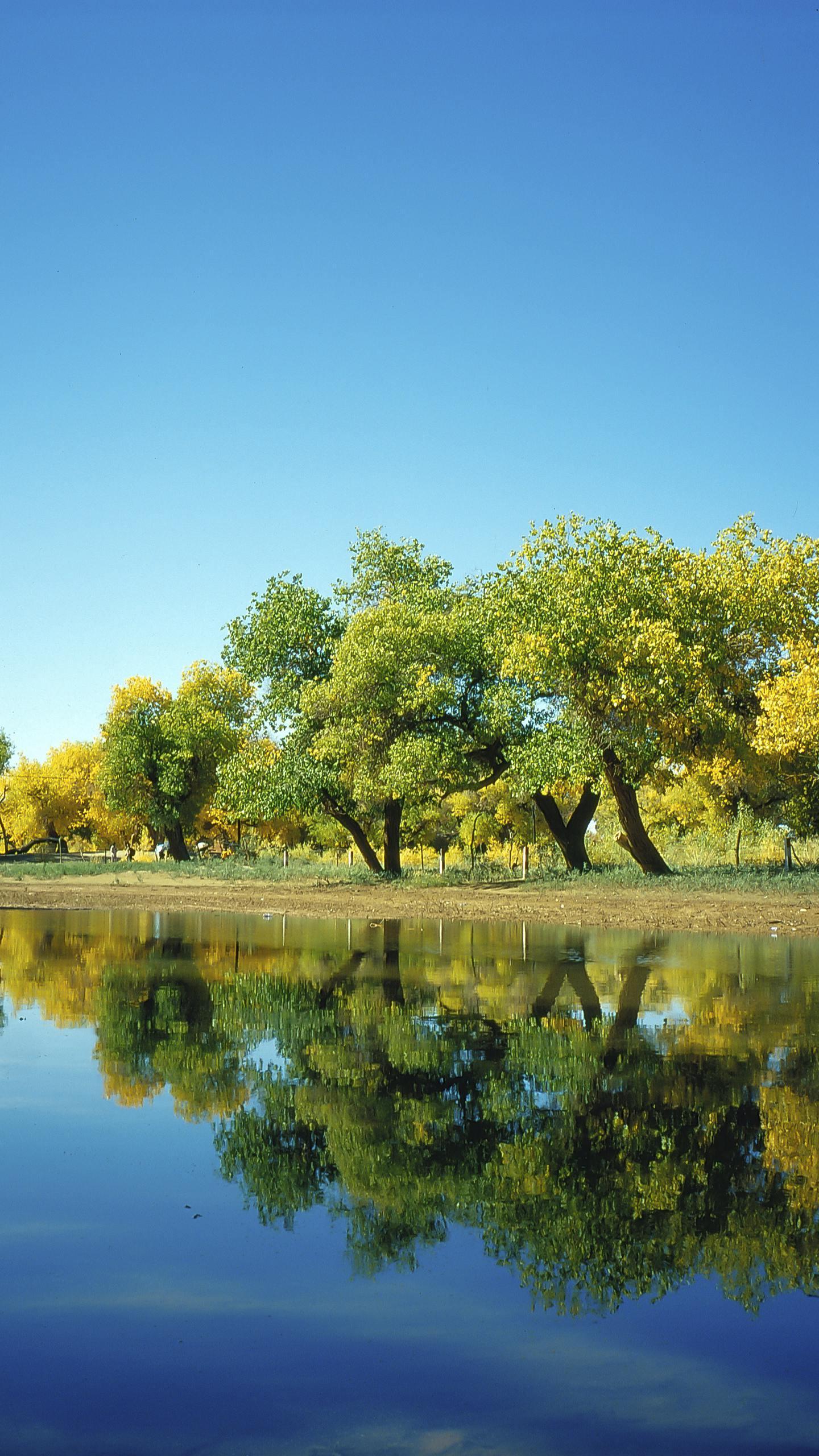 那些回不去的『从前』：一如从前，那样美丽(图13)