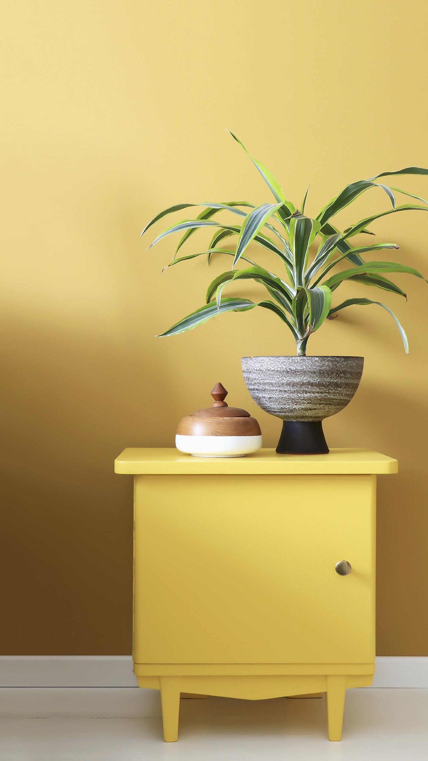 那些回不去的『从前』：一如从前，那样美丽(图14)