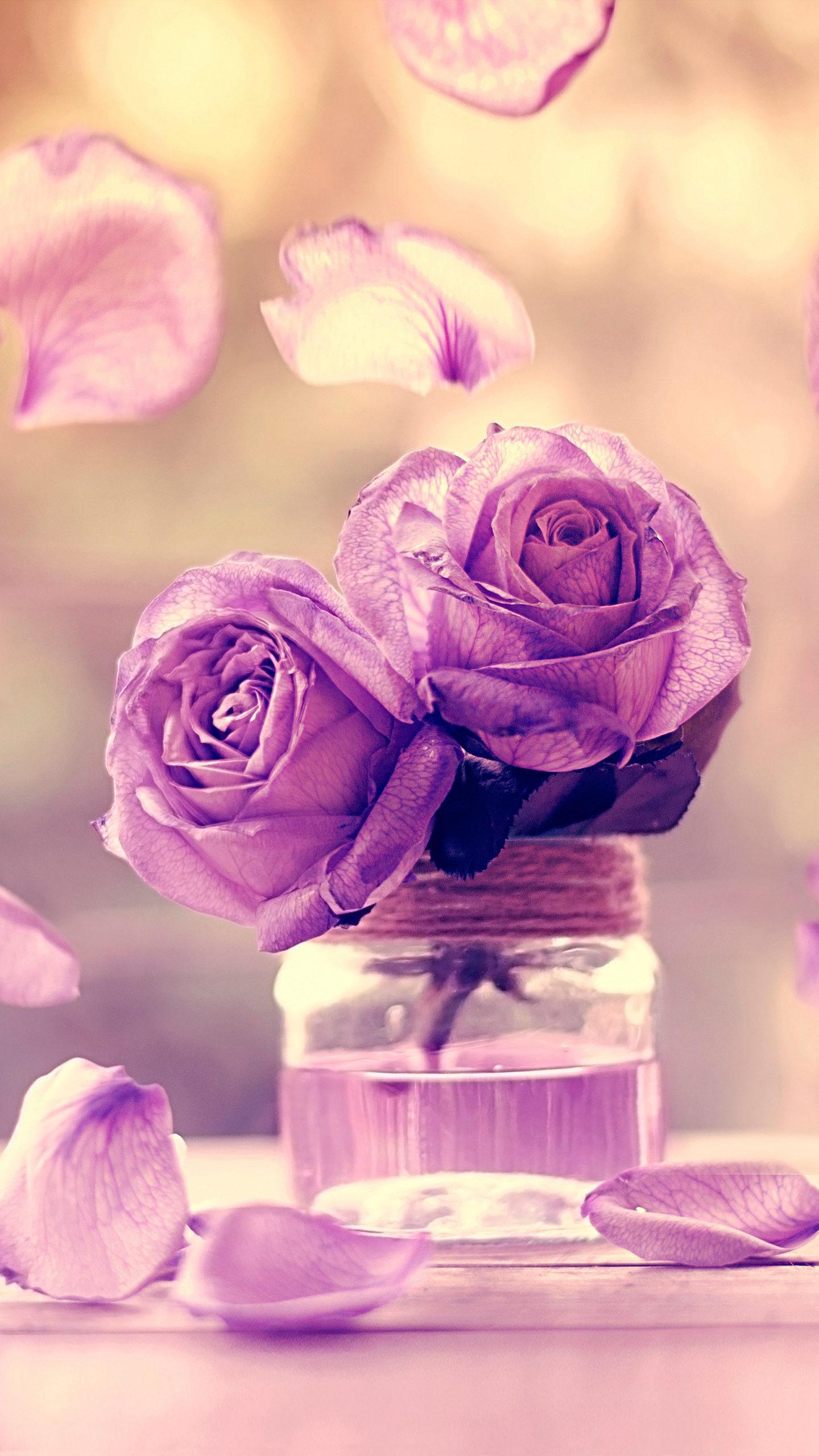 那些回不去的『从前』：一如从前，那样美丽(图22)