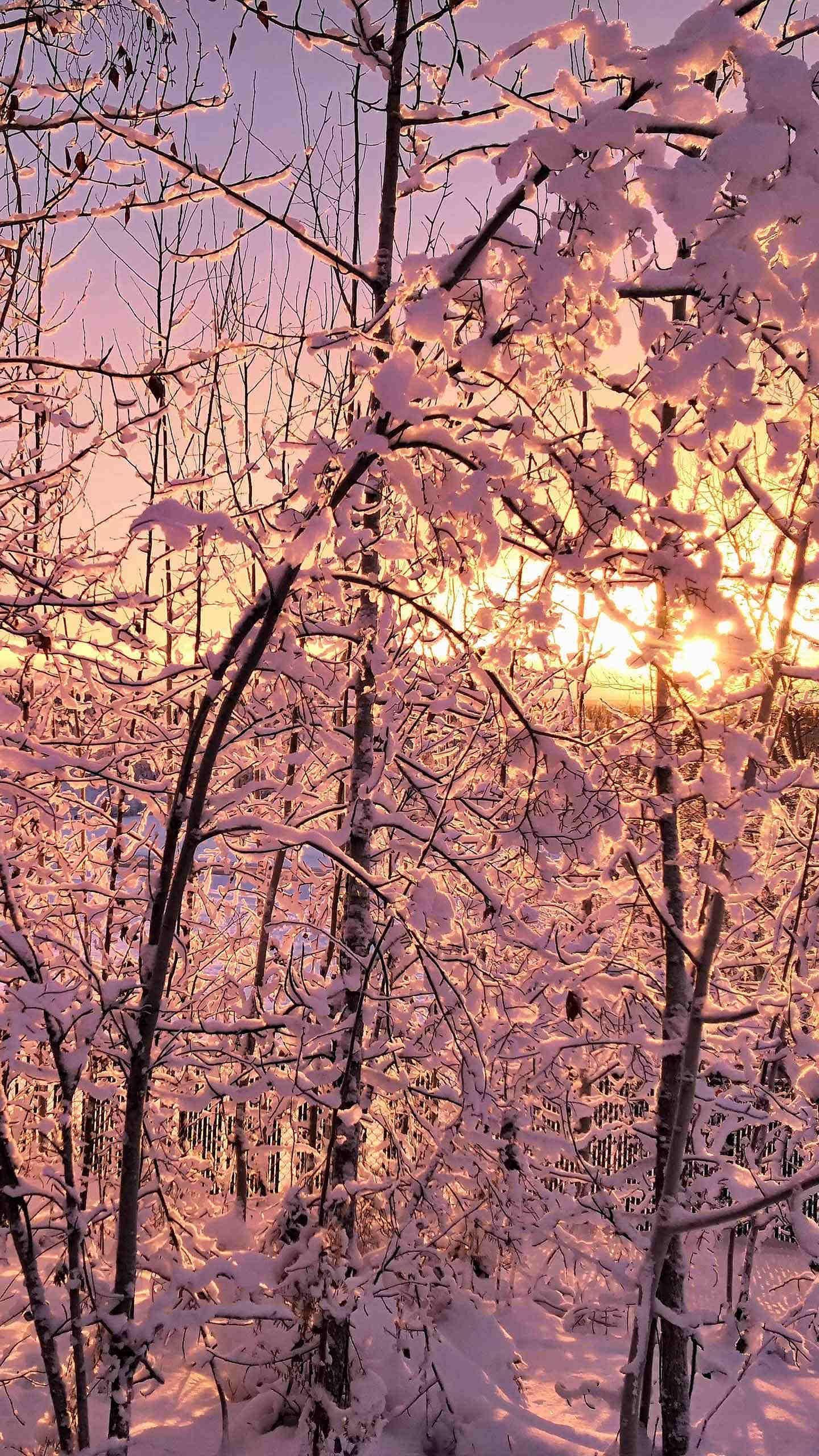 那些回不去的『从前』：一如从前，那样美丽(图24)