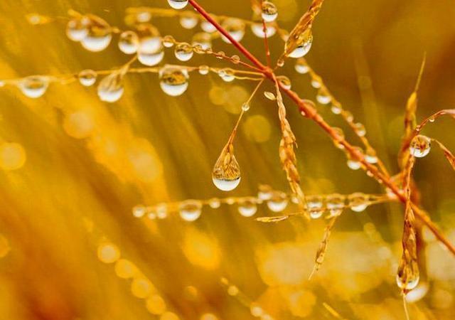 充满人生正能量的句子，简短励志的心灵鸡汤(图3)