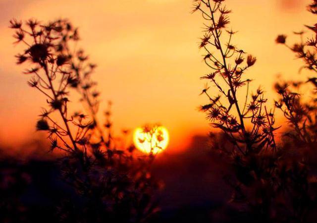 充满人生正能量的句子，简短励志的心灵鸡汤(图6)