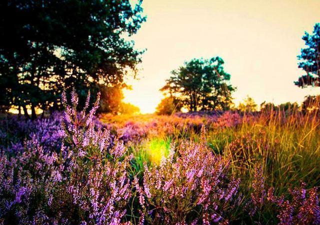 充满人生正能量的句子，简短励志的心灵鸡汤(图8)