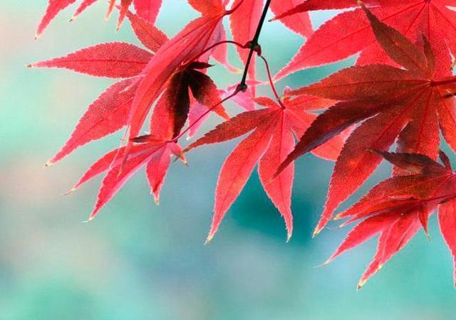 充满人生正能量的句子，简短励志的心灵鸡汤(图9)