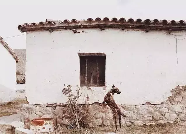 励志的心灵鸡汤语录，句句智慧，正能量爆棚(图1)