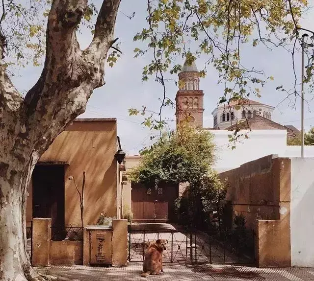 励志的心灵鸡汤语录，句句智慧，正能量爆棚(图3)