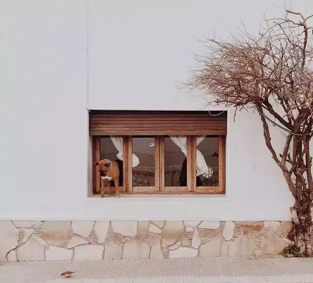 励志的心灵鸡汤语录，句句智慧，正能量爆棚(图4)