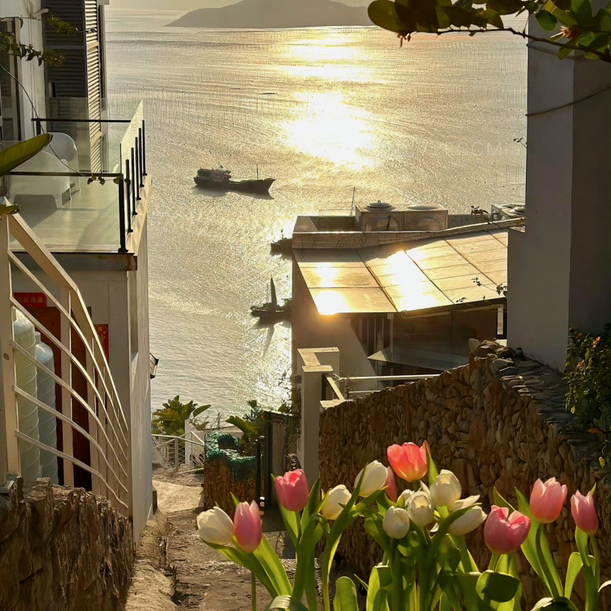 电影《热烈》经典励志语录(图3)