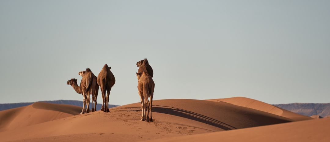 十部高分电影里的50句励志经典语录(图14)