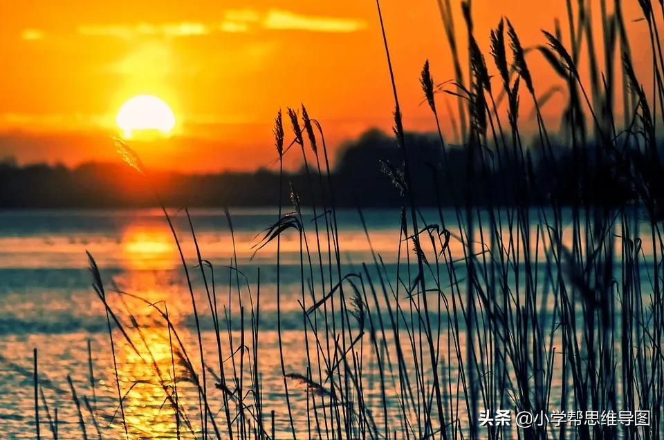 描写人物的兴趣爱好+心理+神态+动作+性格的好词好句好段(图4)