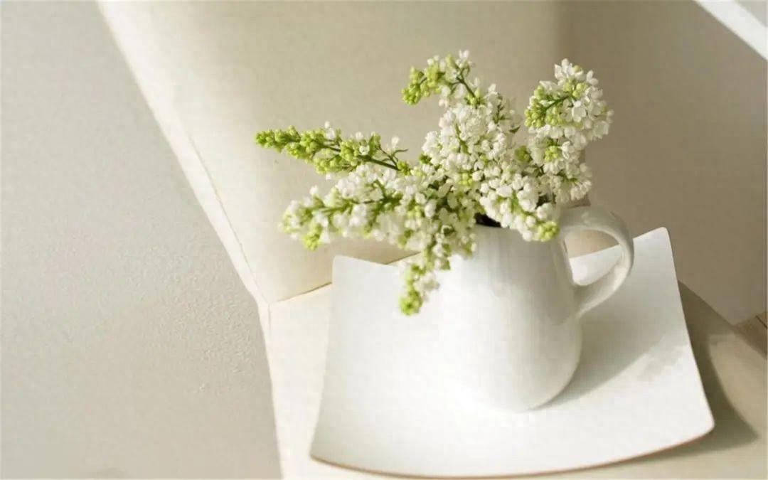 有品味女人的语录，散发优雅魅力的绝佳选择(图1)