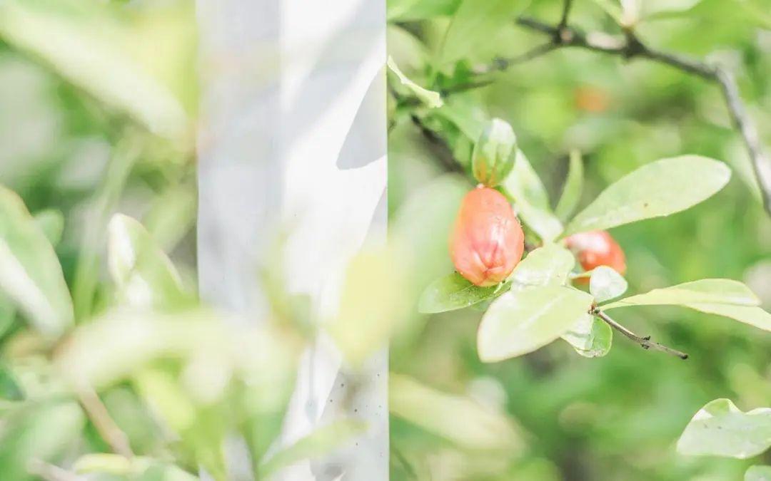 有品味女人的语录，散发优雅魅力的绝佳选择(图3)