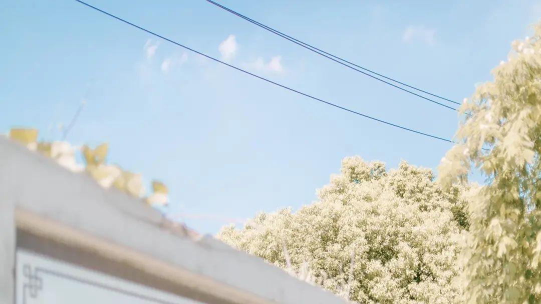 有品味女人的语录，散发优雅魅力的绝佳选择(图4)