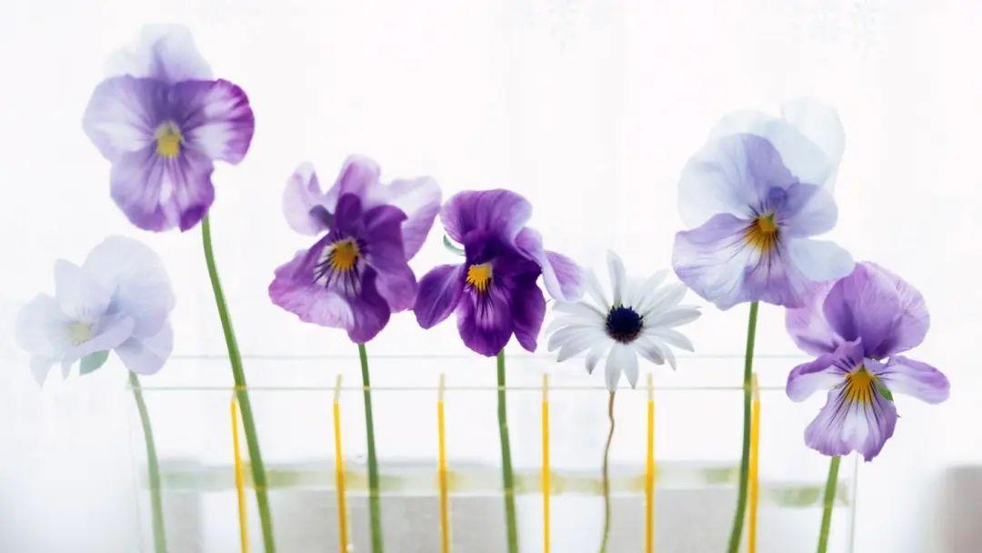 有品味女人的语录，散发优雅魅力的绝佳选择(图5)