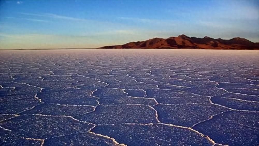 展现品味与魅力的20句女性佳句(图1)