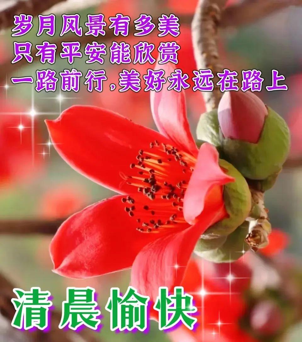 请收下我的祝福，愿我们永远与健康拥抱，与好运相聚。早上好(图4)