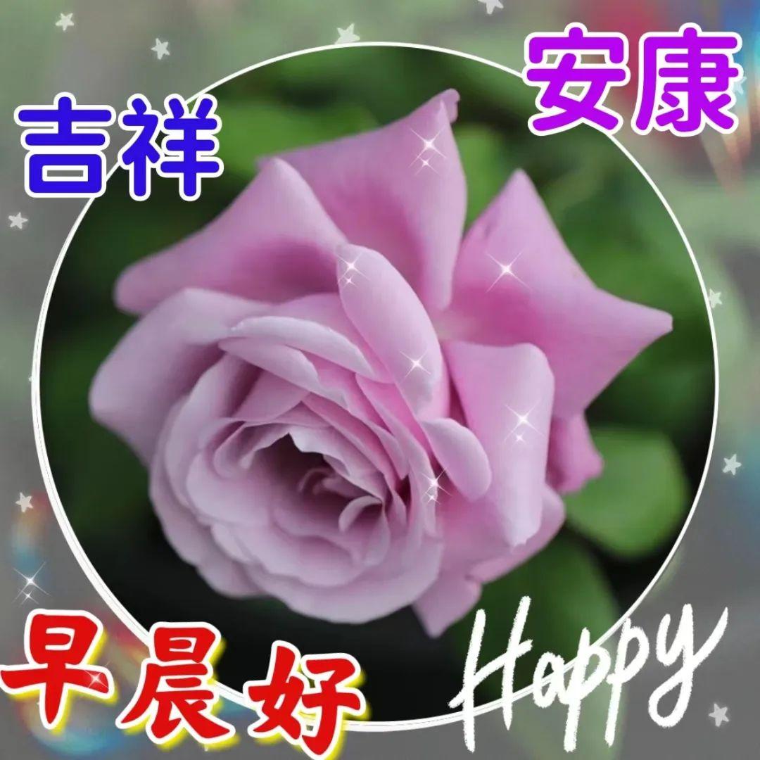 请收下我的祝福，愿我们永远与健康拥抱，与好运相聚。早上好(图6)