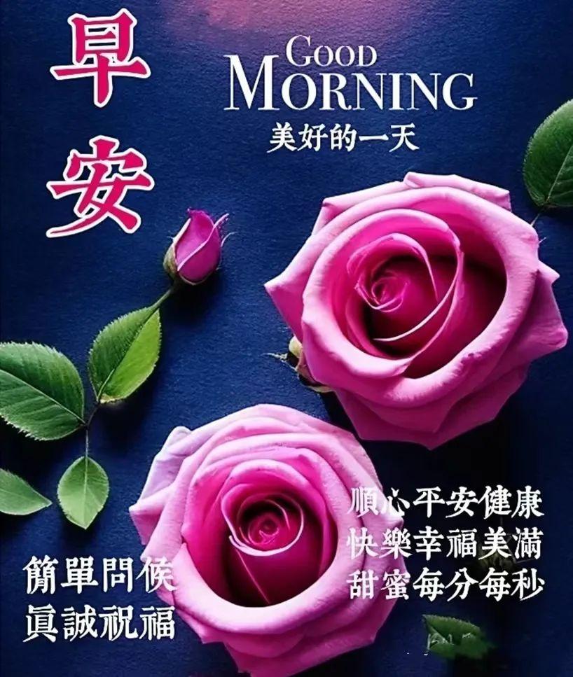 请收下我的祝福，愿我们永远与健康拥抱，与好运相聚。早上好(图8)