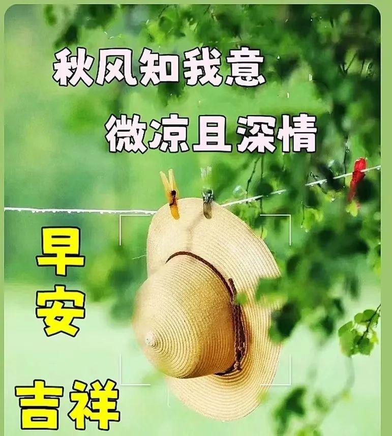 请收下我的祝福，愿我们永远与健康拥抱，与好运相聚。早上好(图9)