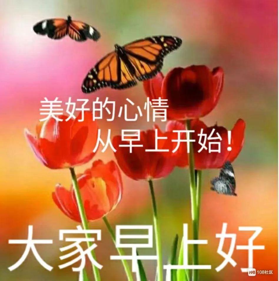 早晨问安：我们互相祝福着，平安着，健康着，早安！(图3)