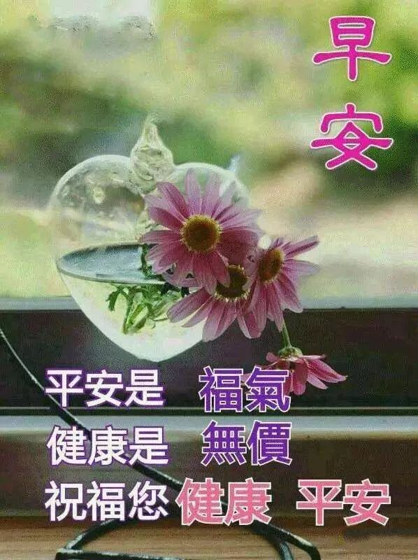 早晨问安：我们互相祝福着，平安着，健康着，早安！(图4)
