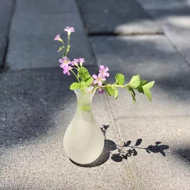 励志语录：苦尽，甘自来 「超级经典」(图1)