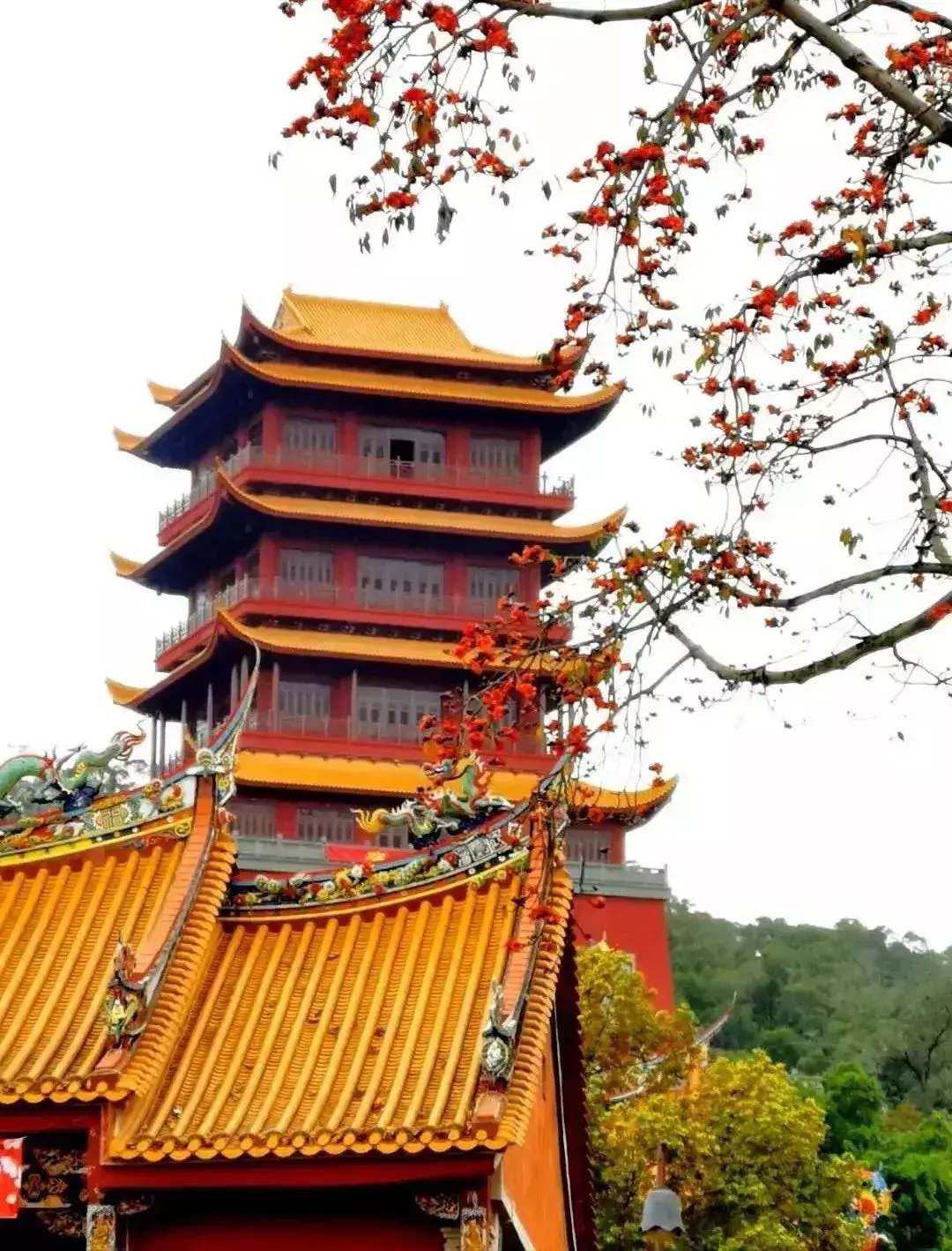 刷爆了！梵天寺震撼奇观，叹为观止！！同安还有超多美景等你来~(图11)