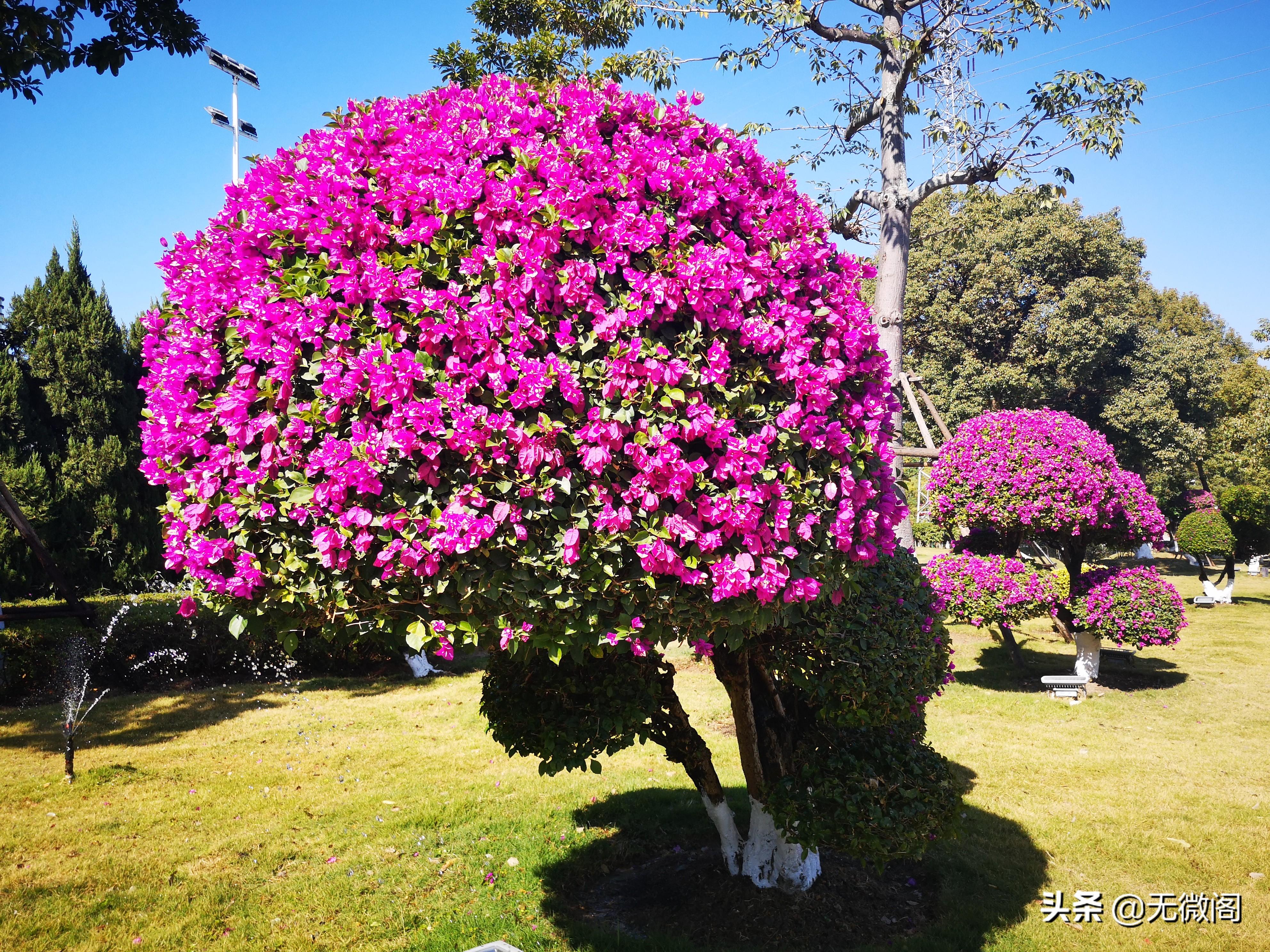 厦门同安梵天寺：梵宇清虚梵行庄严，梵音不息梵香缭绕，五大特色(图28)