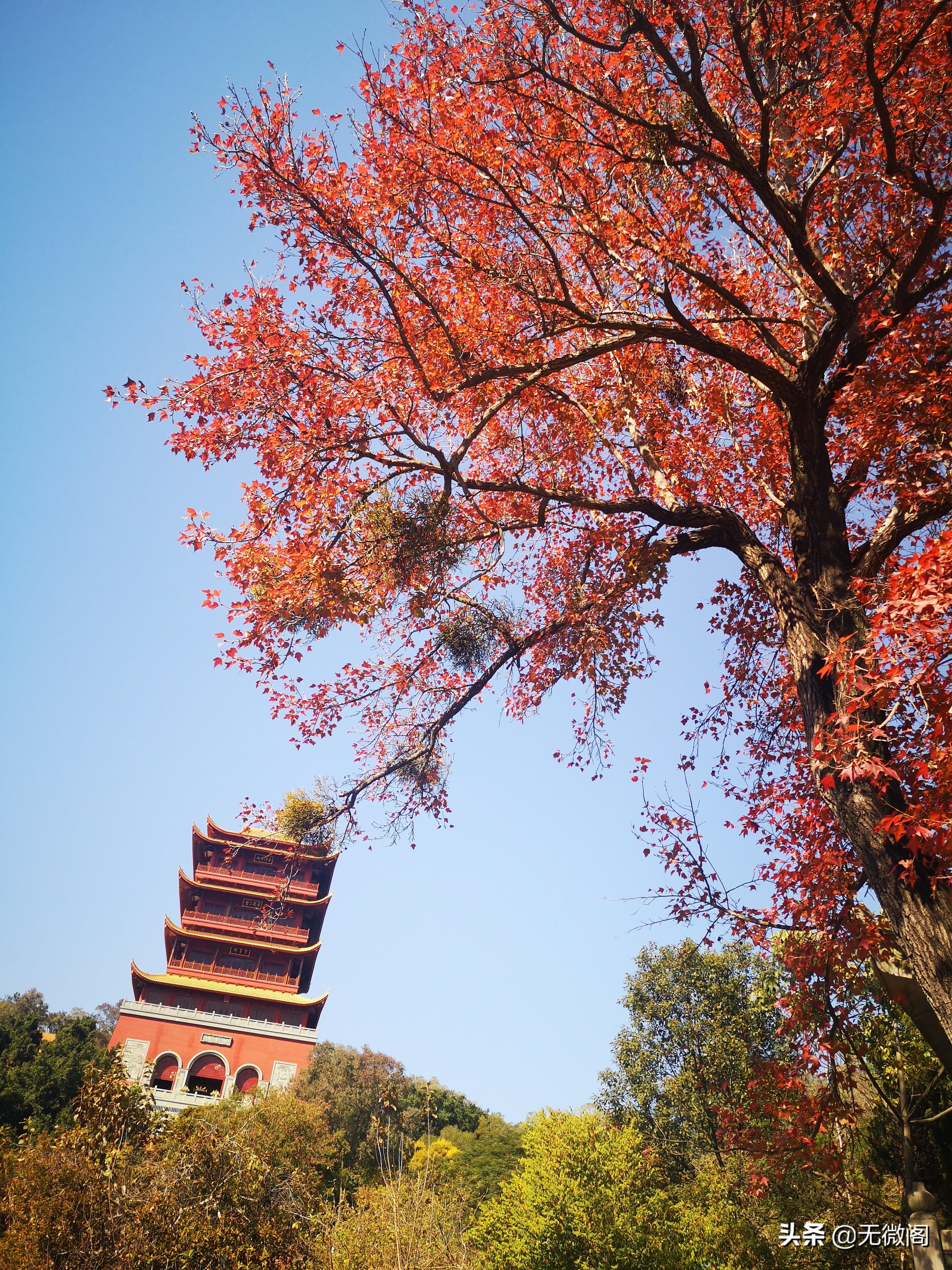 厦门同安梵天寺：梵宇清虚梵行庄严，梵音不息梵香缭绕，五大特色(图29)